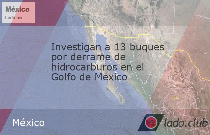 Investigan a 13 buques por derrame de hidrocarburos en el Golfo de ...