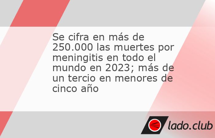 Se cifra en más de 250.000 las muertes por meningitis en todo el mundo ...