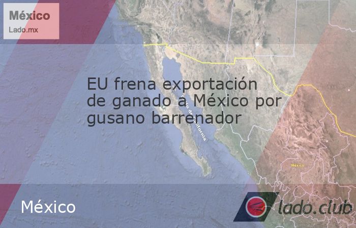 Redacción / Corresponsalías internacionalesEl Departamento de Agricultura de Estados Unidos (USDA) suspendió de emergencia a todas las exportaciones de ganado vivo hacia el mercado mexicano, dispos
