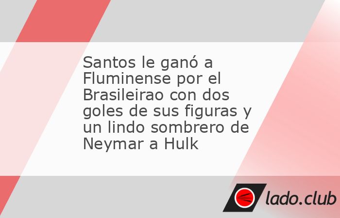 El argentino Rodrigo Castillo convirtió para el Flu pero su grito no le bastó al equipo de Río de Janeiro, que terminó cayendo frente al Peixe en el Brasileirao.